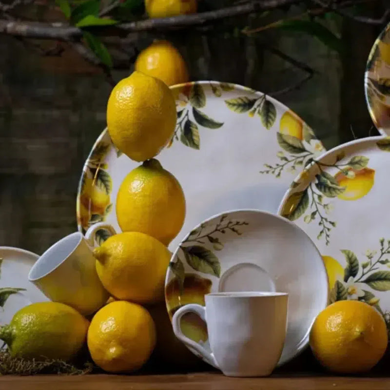 Aparelho de Jantar Stoneware Bio Limonata 30 Peças