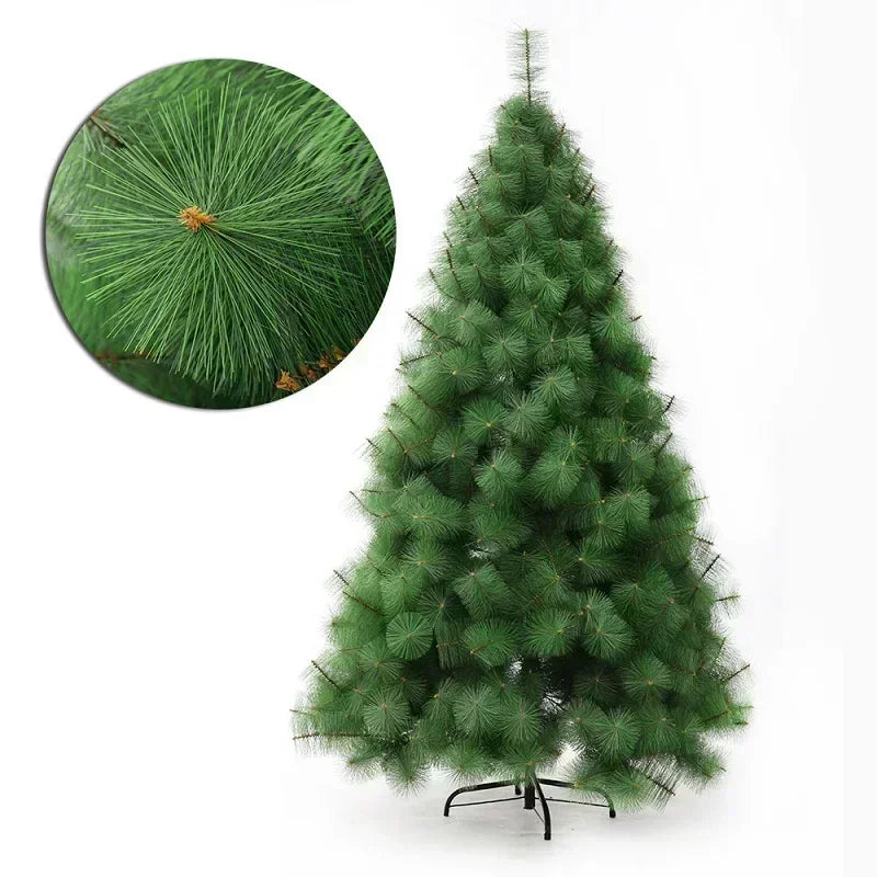 Árvore de Natal criptografada Pe Agulha de Pinho