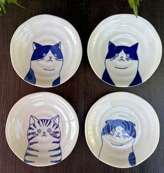 Pratos Estampados Bicolor Gatos