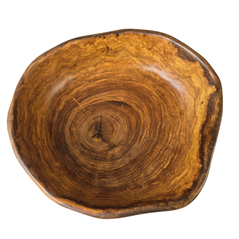 Gamela Exótica de Madeira Loro 55x53x17cm